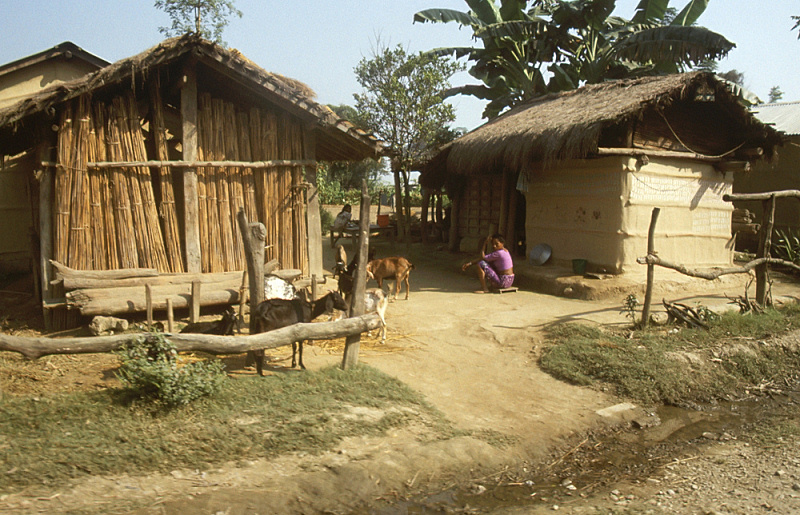 464_Dorpshuisjes, Chitwan.jpg